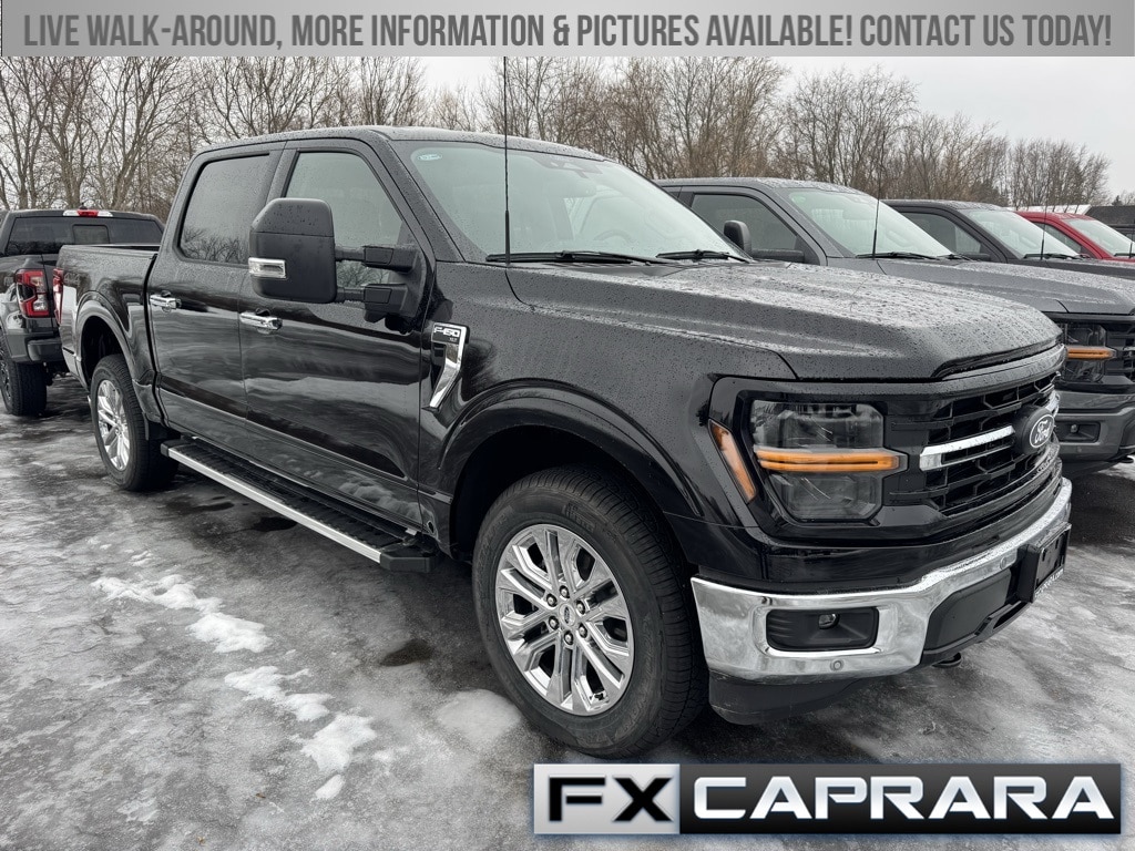 2025 Ford F-150 XLT's photo