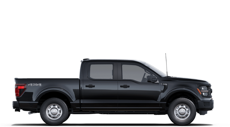 2025 Ford F-150 XL - Photo 19