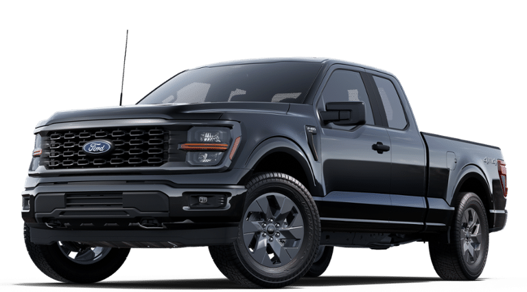 2025 Ford F-150 STX's photo