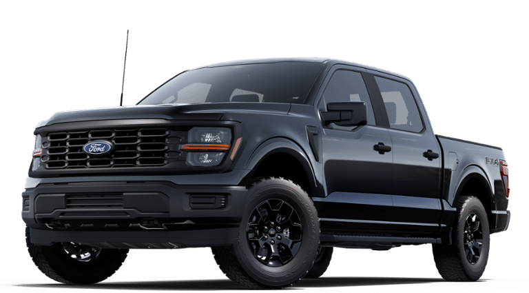 2025 Ford F-150 STX's photo
