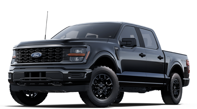 2025 Ford F-150 STX photo 2