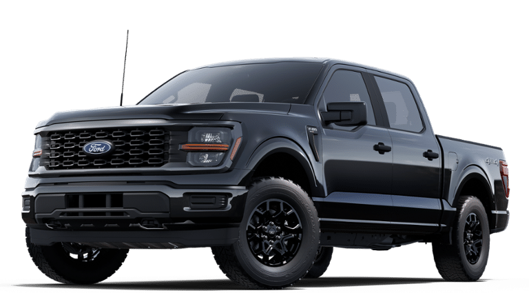 2025 Ford F-150 STX's photo