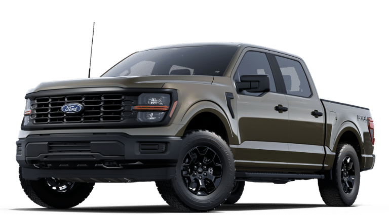 2025 Ford F-150 STX's photo