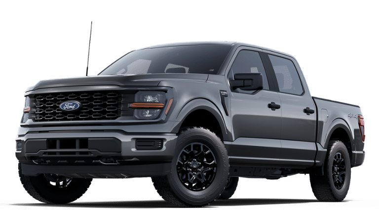 2025 Ford F-150 STX's photo