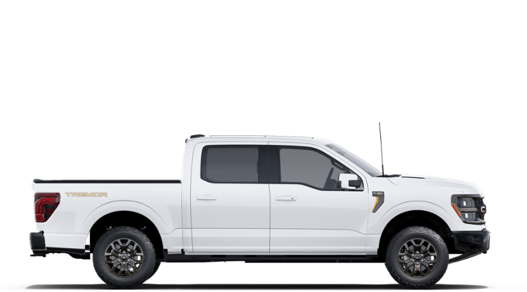 2025 Ford F-150 Tremor photo 9