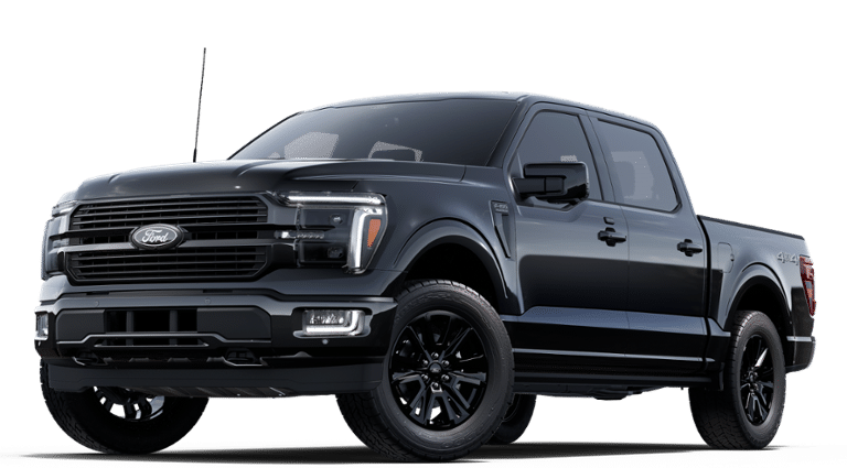 2025 Ford F-150 Platinum - Photo 29