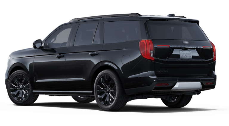 2025 Ford Expedition Platinum photo 3