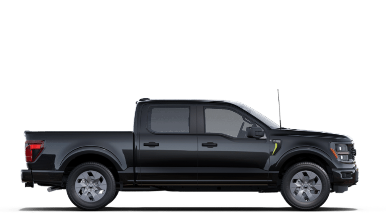 2025 Ford F-150 STX photo 6