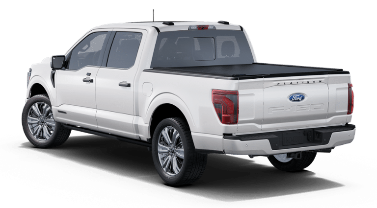 2025 Ford F-150 Platinum photo 23
