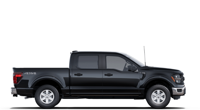 2025 Ford F-150 XL - Photo 13