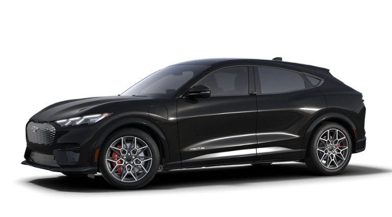 2025 Ford Mustang Mach-E GT - Photo 29