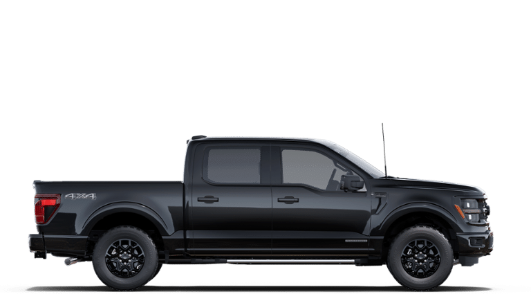 2025 Ford F-150 XLT 6