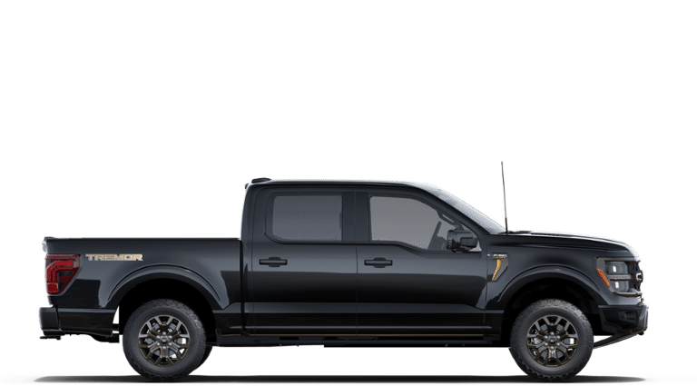 2025 Ford F-150 Tremor 27