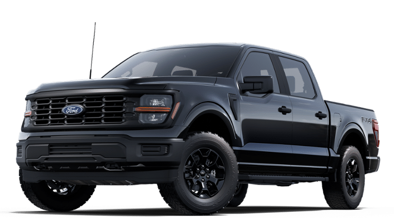 2025 Ford F-150 STX's photo