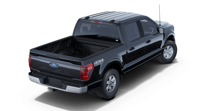 2025 Ford F-150 XL - Photo 11