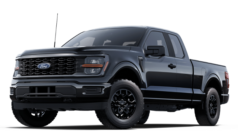 2025 Ford F-150 STX's photo