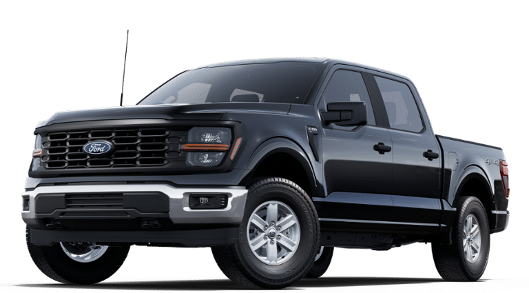 2025 Ford F-150 XL - Photo 9