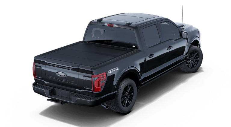 2025 Ford F-150 Platinum photo 3