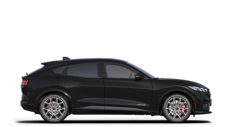 2025 Ford Mustang Mach-E GT - Photo 49