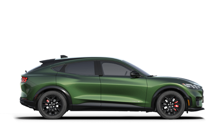 Thumbnail: 2025 Ford Mustang Mach-E - 27