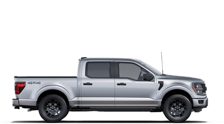 2025 Ford F-150 STX - Photo 5