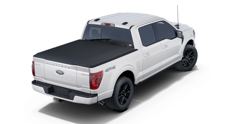2025 Ford F-150 Platinum photo 3