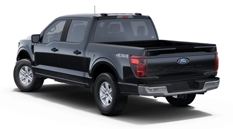 2025 Ford F-150 XL - Photo 10