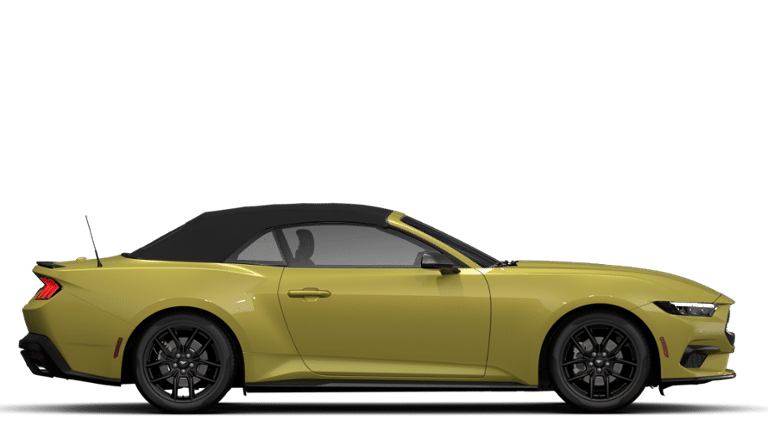 2025 Ford Mustang EcoBoost Convertible - Photo 49