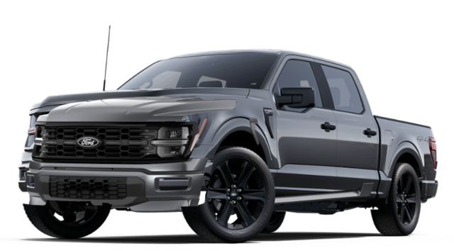 2025 Ford F-150 STX's photo