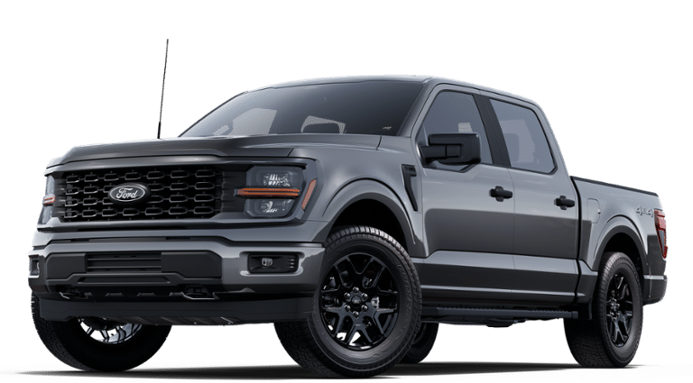 2025 Ford F-150 STX's photo