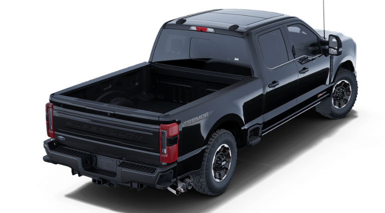 2025 Ford F-250 Platinum photo 3