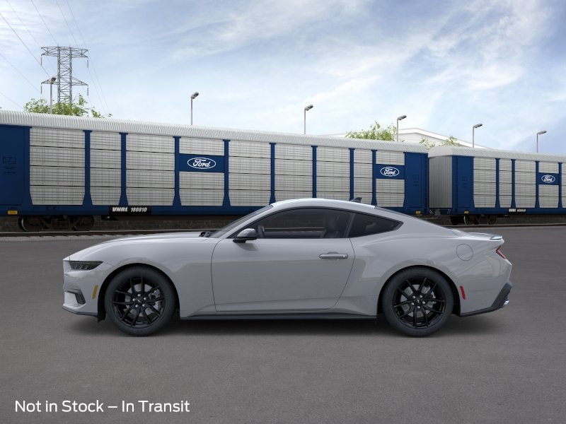 Mustang