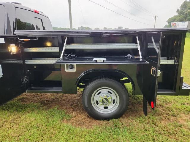 2025 Ford Super Duty F-250 SRW F-250 XL