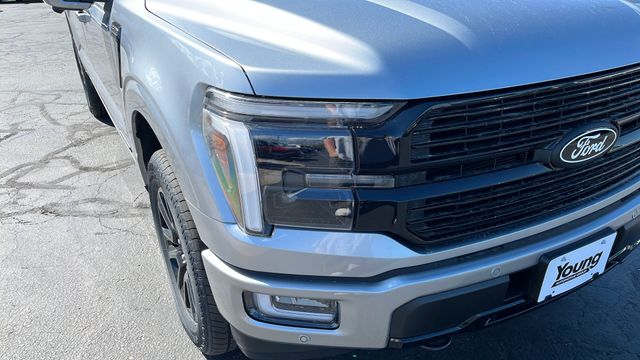 2025 Ford F-150 Platinum - Photo 53