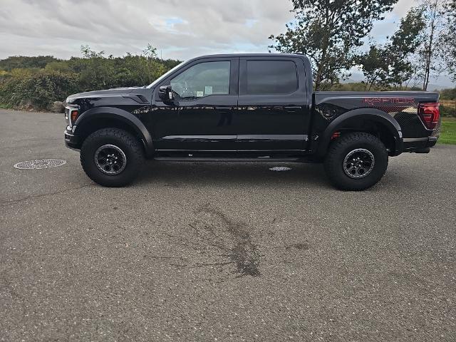 2025 Ford F-150 Raptor - Photo 29