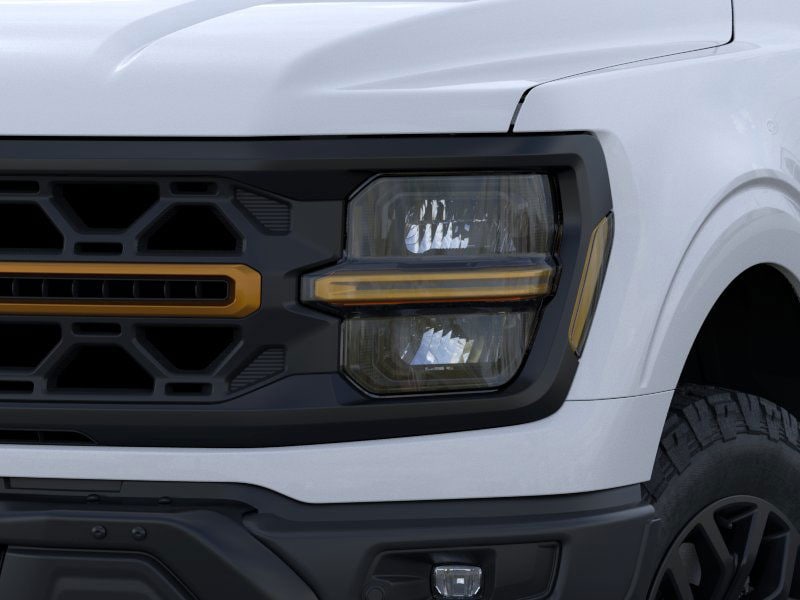 2025 Ford F-150 Tremor - Photo 22