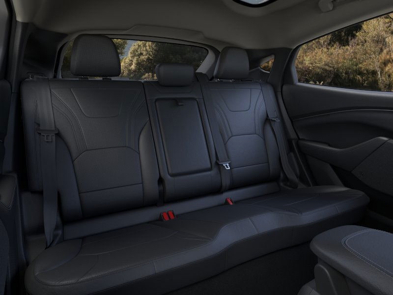 2025 Ford Mustang Mach-E Premium - Photo 33