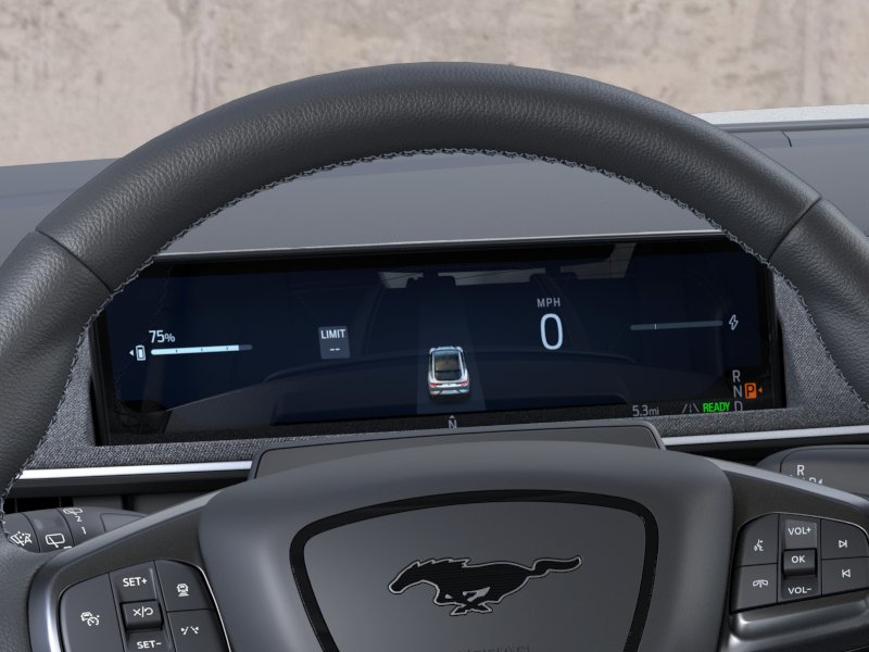 2025 Ford Mustang Mach-E GT AWD - Photo 13