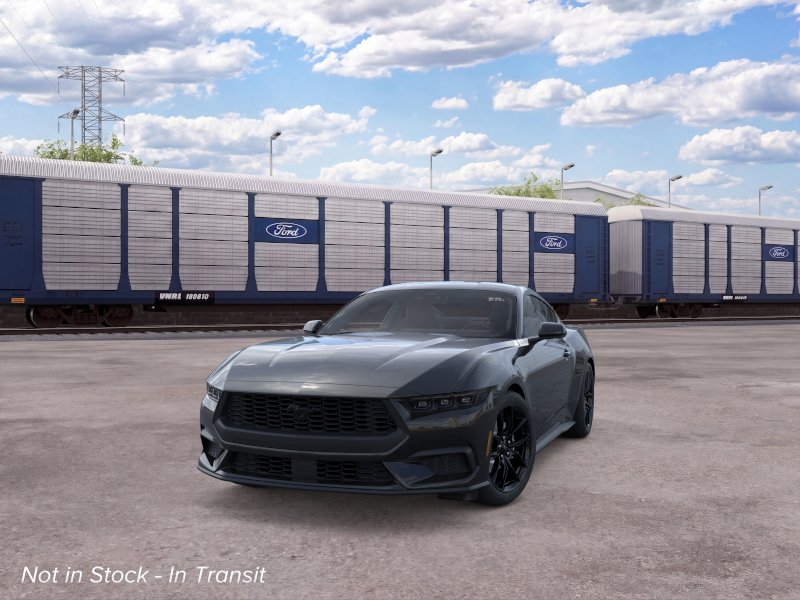 Mustang