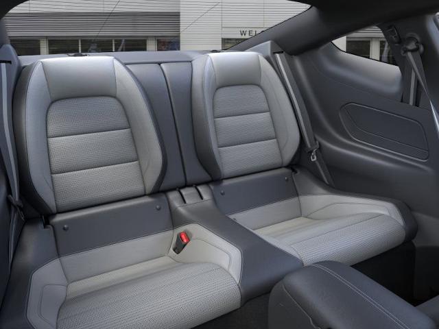 2025 Ford Mustang EcoBoost Premium Fastback - Photo 33