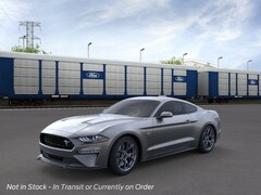 2022 Ford Mustang Ecoboost Premium Fastback Coupe