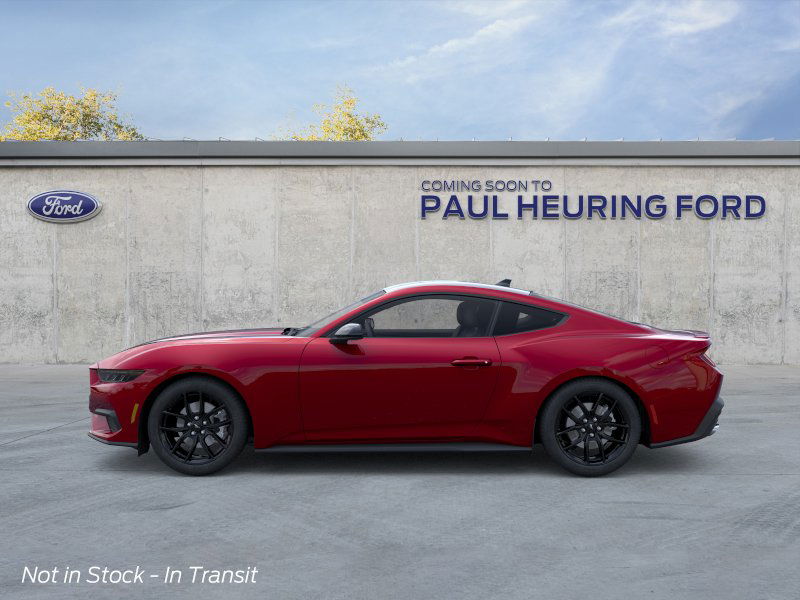 2025 Ford Mustang EcoBoost photo 3