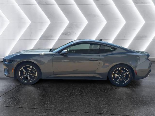 2025 Ford Mustang EcoBoost Premium Fastback - Photo 21