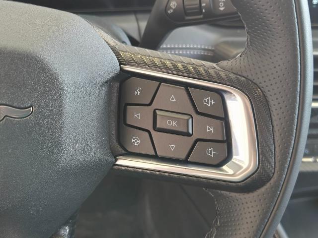 2025 Ford Mustang EcoBoost Premium Fastback - Photo 33
