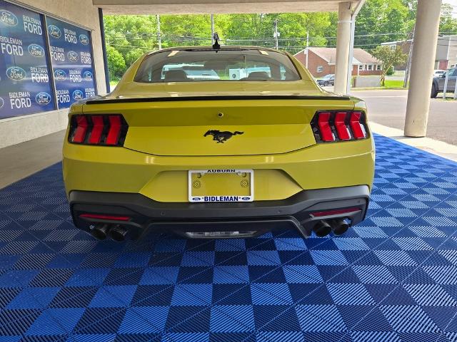 2025 Ford Mustang EcoBoost Premium Fastback - Photo 26
