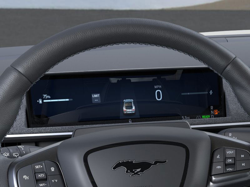 2025 Ford Mustang Mach-E GT photo 16