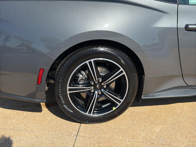 2025 Ford Mustang EcoBoost Premium Fastback - Photo 24