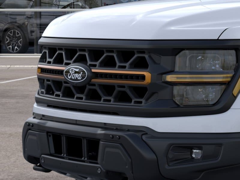 2025 Ford F-150 Tremor - Photo 21