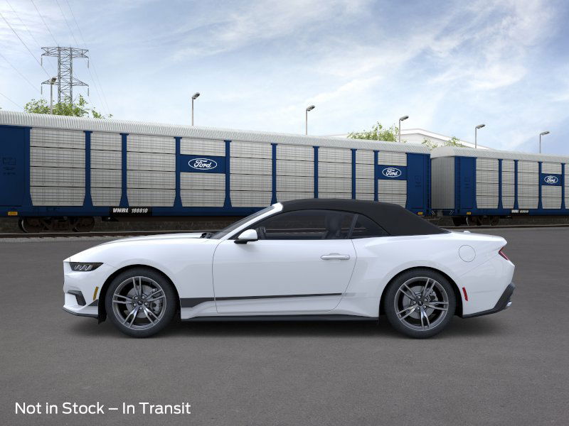 2025 Ford Mustang EcoBoost Convertible photo 3