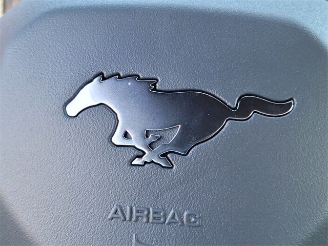 2025 Ford Mustang EcoBoost Premium Fastback - Photo 50